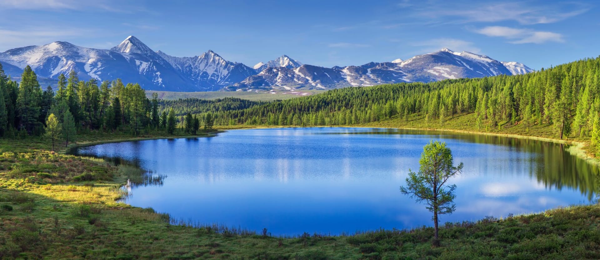 Boat Seating Sales Shop -Boat Seating Sales Shop a3fdf0bc 5da4 4c4f 843d aef0b8c95fa8